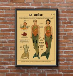 Anatomy of Mermaid Poster Bird Curious Creatures Kraft Paper Prints Vintage Home Room Cafe Bar Art Wall Decor Aesthetic Painting