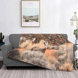 Blankets Desert Bighorn Air Conditioning Soft Blanket Ewe Ram Natural Landscape Gracesage Nature Mother Earth Beauty Wild