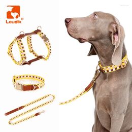 Dog Collars Loudik-Large Harness Leash Set Personalised ID Name Laser Adjustable Big Pet Collar And Leads Accessories Wholesale