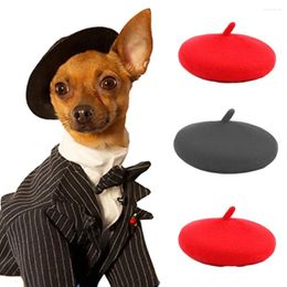 Dog Apparel INS Pets Hat Accessories Grooming Dress Up Cap Cute Beret Mini Decorative Cat Headwear Puppy Painter Wool