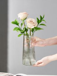 Simple Creative Painted Gold Glass Transparent Flower Vase Water Cultured Floral, Roses, Lilies, Living Room, Table Decor Grey