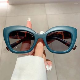 Sunglasses KAMMPT Oversized Cat Eye 2024 Stylish Vintage Candy Color Women Shades Ins Designer Outdoor Eyewear