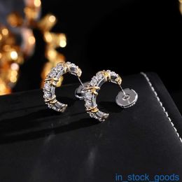 Top Grade Luxury Tifanccy Brand Designer Earring Electroplated Noble Cold Light Luxury Style Earrings High Quality Designers Jewelry