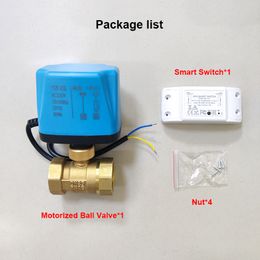 Tuya WiFi Smart Electric Ball Valve Brass Timing Switch Smart Life Control Support Alexa Google Home Motorized Water Valve 220V