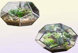 NCYP Modern Glass Terrarium Flower Pot Gold Geometric Terrarium Bonsai Flower Pots Plant Planter Desktop Display Flowerpot Y2007237750262