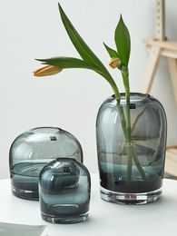 Living Room Tabletops Home Flower Vase Crafts Decor European Simple Vases Creative Transparent Colorful Glass Vase