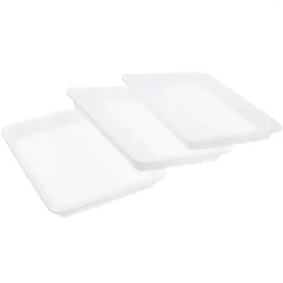 Plates 3 PCS Lab Tray Plastic Premium Painting Drinks Material Durable Crafts Child Trays