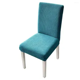 Chair Covers Cover Thickened Fleece Rice Elastic Comfortable With Bandage No Shrinkage Stretch FabricSofa