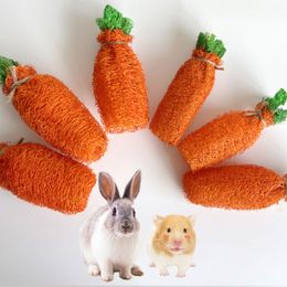 Loofah Carrot Chew Toy for Chinchilla Guinea Pigs Rabbit Hamster Gerbil Degu Bunny Natural Material Cage Accessory