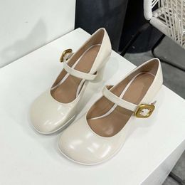 Square Toe High Heels, 2024 Spring/summer New Style Square Mary Jane Shoes, Women's Shallow Mouth One Line Buckle Thick Heel Shoes