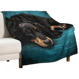 Blankets Adorable Dachshund Throw Blanket Thin Fluffy Quilt