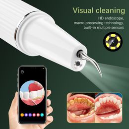 Visual Dental Scaler Teeth Whitening Cleaner Dental Stone Calculus Plaque Stains Removal Tartar Scraper Oral Hygiene Protable