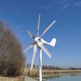 3000W 5000W 12V 24V 48V 6 Blades Horizontal Wind Turbine Generator Windmill With MPPT Charger Controller