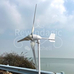 Wind Turbine Generator 10000w Free Energy Wind Power Windmill With MPPT Controller with Hybrid Controller with Off Grid System