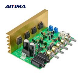 Amplifiers AIYIMA Karaoke Audio Amplifier Board HIFI Digital Reverb Power Amplifier 100W Audio Preamp Rear Amplification With Tone Control