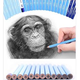 Brutfuner 24/38Pcs 6H-12B 14B Pencil Set Sketching Drawing Kit Wood Pencil Pencil Bags For Painter School Students Art Supplies