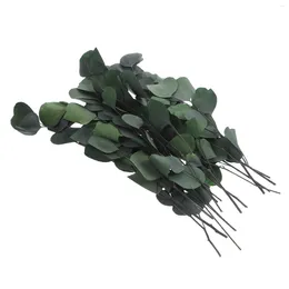 Decorative Flowers Preserving Dried Eucalyptus Stems Faux Greenery Artificial Branches Preserved Flower Centerpieces