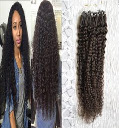 Brazilian virgin hair micro loop human hair extensions 100g kinky curly micro loop hair extension micro rings4369918