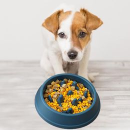 Durable Dog Bowl Convenient Large Capacity Reusable Slow Feeder Dog Breed Food Bowl