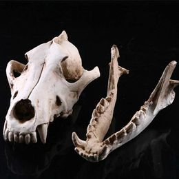 Arts and Crafts Resin Wolf Skull Decoration Wolf Skull Model Statues Process Film Props Collection Handicrafts Home arden Desk Ornament L49