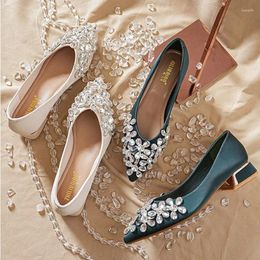 Dress Shoes 2024 Spring Fashion Women 3cm High Heels Gorgeous Silk Pointed Toe Female Sexy Crystal Pumps Lady Luxury Wedding Big Size