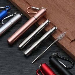 Drinking Straws Stainless Steel Collapsible Angle Reusable Metal Straw