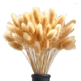 Decorative Flowers AT35 100 Stems Natural Dried Tail Grass Small Pampas For Boho Decor Wedding Bouquets