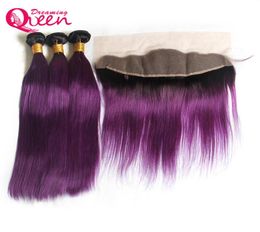 T1B Purple Colour Straight Ombre Brazilian Virgin Human Hair Extensions 3 Bundles With 13x4 Ear to Ear Lace Frontal Closure Preplu1516894