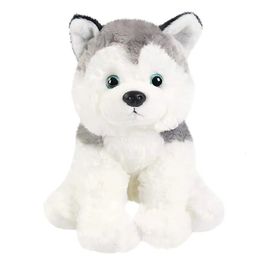 30cm Husky Doll Black White Dog Plush Toys Cute Soft Throw Pillows PP Cotton High Quality Stuffed Animals for Girl Birthday Gift 240411