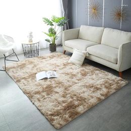 Carpets 31401 Fashionable Carpet Bedroom Cloakroom Lounge Mat Living Room Sofa Coffee Table
