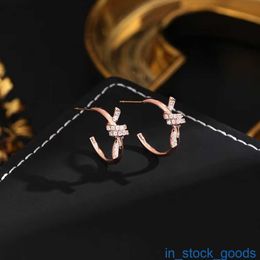 Top Grade Luxury Tifanccy Brand Designer Earring High Version 925 Silver Gold Electroplated Micro High Quality Designers Jewelry