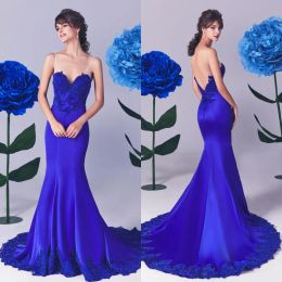 Elegant Lace Evening Dresses Sexy V Neck Sleeveless Backless Appliques Beads Prom Gowns 2024 Sweep Train Mermaid Special Occasion Dress