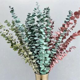 Decorative Flowers 12Stems /lot 40-45cm Eucalyptus Leaves Natural Fresh Preserved Dried Plant For Wedding Home Party Decoration Dry Branches