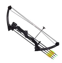 Outdoor Archery Youth Compound Bow And Arrow Sets For Shooting M110