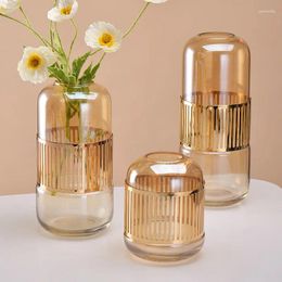 Vases Modern Nordic Glass Vase Light Luxury Style Gold Iron Art Living Room Table Porch Tv Cabinet Behind Floral Arrangement