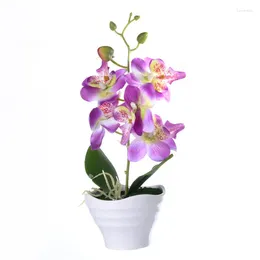 Decorative Flowers Artificial Flower Five Headed Butterfly Orchid Bonsai Set Simulation Green Plant Creative Decoration Potted