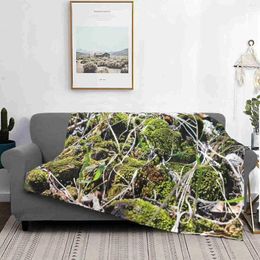 Blankets Miniature Biome Air Conditioning Soft Blanket Moss Mossy Nature Rocks Growth Mini Ecosystem