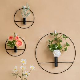 Nordic Hydroponic Test Tube Metal Wall Hanging Vase Wall Decor Living Room Plant Hanging Vase Home Decorations for Living Room