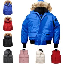 Parkas puffer jacket coat parka winter coat mens womens top version real down jacket hooded real wolf fur real downfill Wholesale discoun