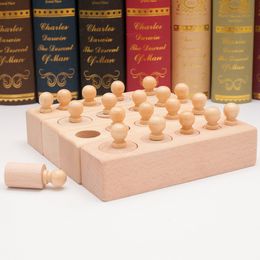 Montessori Sensoriskt material Träcylinder Block Socket Toy Preschool Tidig utbildning för visuell känsla Barnspel