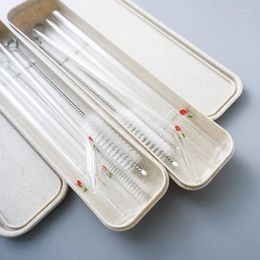 Drinking Straws 3pcs/Set Reusable Printed Glass 2 Pcs Cleaner Brush With Carry Portable Case