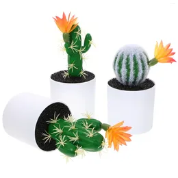 Decorative Flowers 3 Pcs Potted Artificial Cactus Green Ornaments Plastic Mini Succulents Model