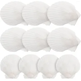 Vases 10 Pcs Natural Shell Decoration Aquarium Conch Ornament Charm Beach Seashells Ocean Adorns Crafts