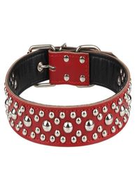 Dog Collars Leashes Genuine Leather Studded Big Collar With Round Rivets Adjustable For Large Breed Dogs Pet Supplies8519558