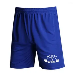 Men's Shorts Men Gym Summer Muscle Basic Breathable Basketball Mesh Quick Dry Training Casual Boxer Sweatpants