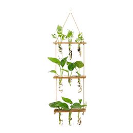 Wooden Stand Mini Test Tube Flower Vase Glass Planter for Hydroponic Plant Cutting Home Garden Office Decor Plant