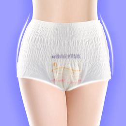 Feminine Hygiene Product Daily Gasket Sanitary Panties for Periods Incontinence and Postpartum Breathable Leak-proof Women Pads
