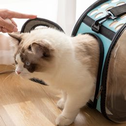 Pet Backpack Portable Transparent Space Packet Outdoor Travel Breathable Cat Bag Oblique Cross Hand Dual-use Sack