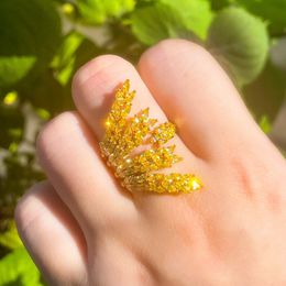 Pera Graceful Yellow Gold Colour CZ Wheat Leaf Design Birthday Party Big Resizable Open Rings for Best Friend Jewellery Gift R165