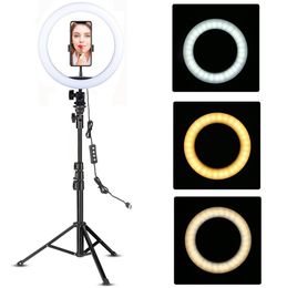 Youtube Makeup fill lighting Video Live Shooting LED Ring Light 10 inch with phone holder Tripod Stand Selfie Circle Tikok Lamp7718702